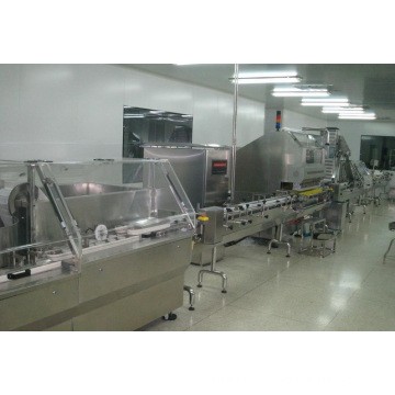 Hot Tablet/Capsule Counting and Packing Machine Line (SF-12)